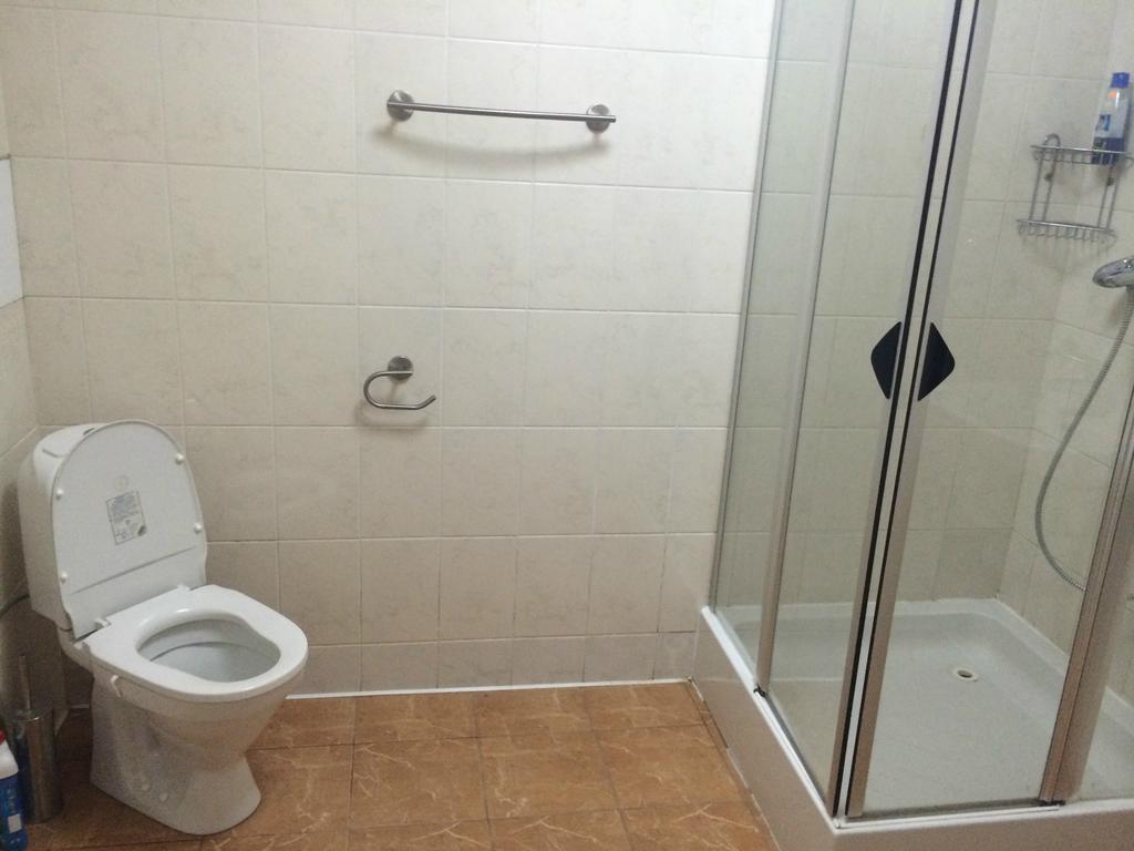 Na Gori Villa Slavske Room photo